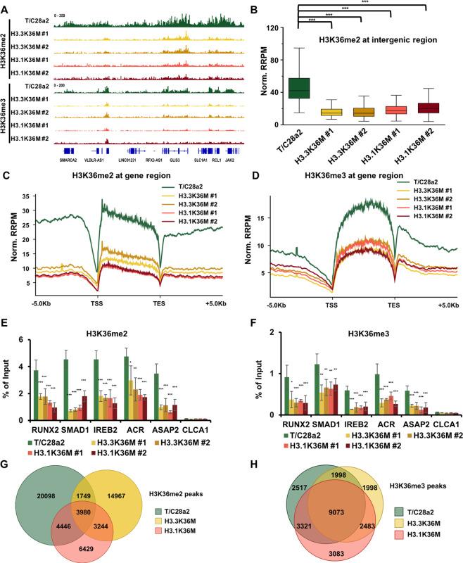 https://cdn.ncbi.nlm.nih.gov/pmc/blobs/4988/7991640/79feb6b96fc1/41419_2021_3597_Fig3_HTML.jpg