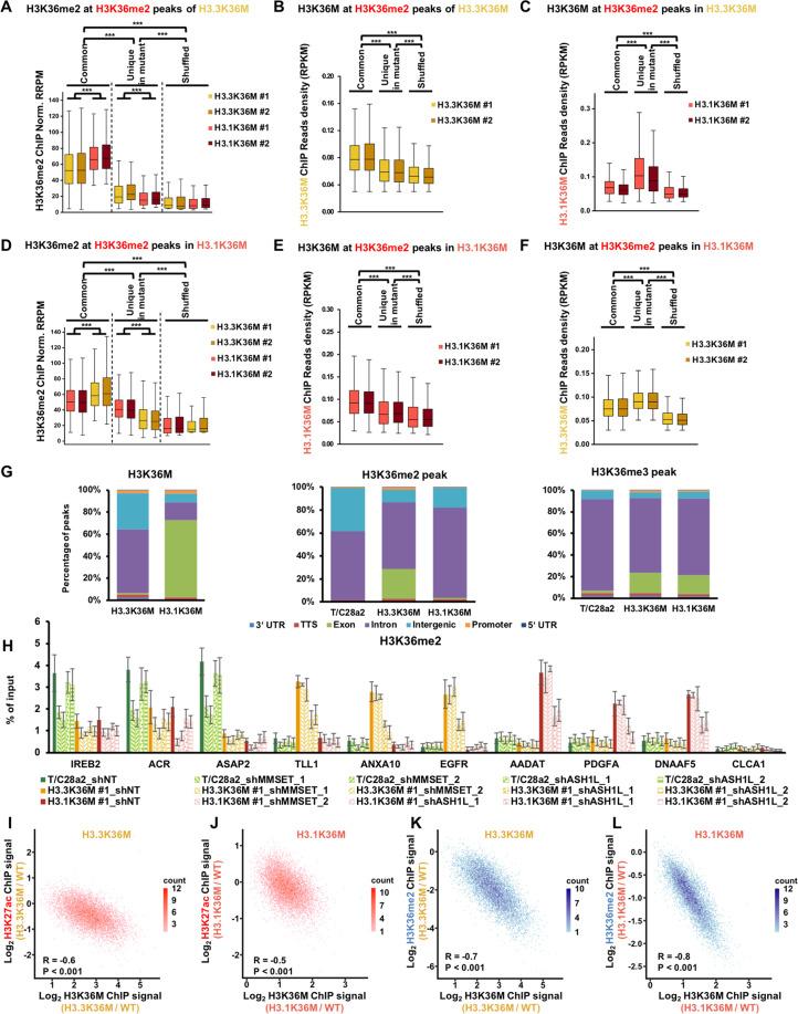https://cdn.ncbi.nlm.nih.gov/pmc/blobs/4988/7991640/7fee395beca5/41419_2021_3597_Fig6_HTML.jpg