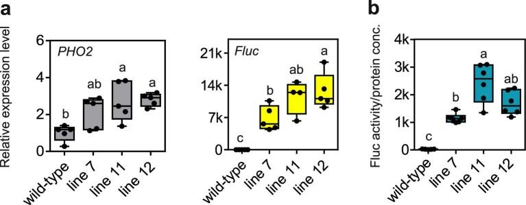 https://cdn.ncbi.nlm.nih.gov/pmc/blobs/4988/8516643/53d819632f79/41477_2021_1005_Fig17_ESM.jpg