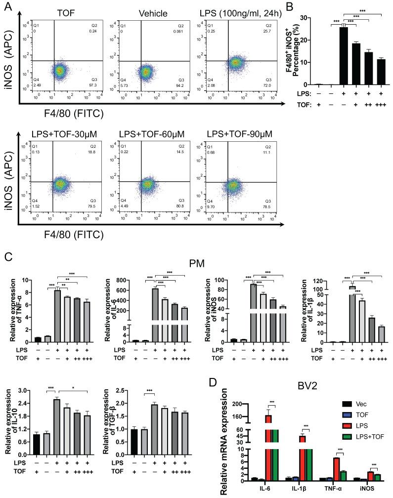 https://cdn.ncbi.nlm.nih.gov/pmc/blobs/4989/10539697/1181600a9618/ijbsv19p4865g005.jpg