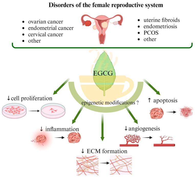 https://cdn.ncbi.nlm.nih.gov/pmc/blobs/498b/10893337/a0263be90dc0/nutrients-16-00559-g002.jpg