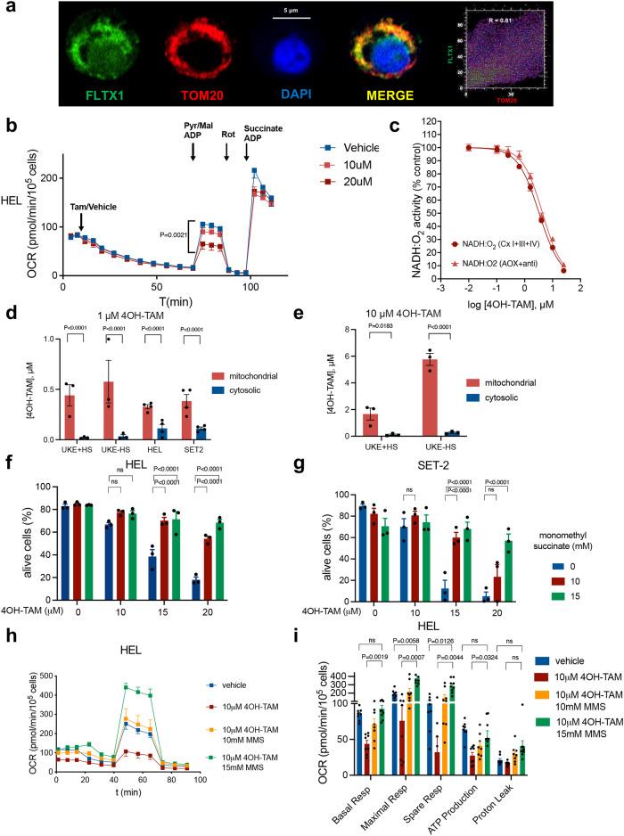 https://cdn.ncbi.nlm.nih.gov/pmc/blobs/498e/10673935/61a58beb6e2a/41467_2023_43175_Fig6_HTML.jpg