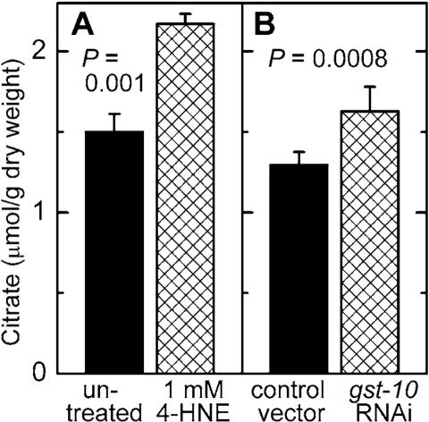 https://cdn.ncbi.nlm.nih.gov/pmc/blobs/498e/2815766/f6755b932e54/aging-01-068-g007.jpg