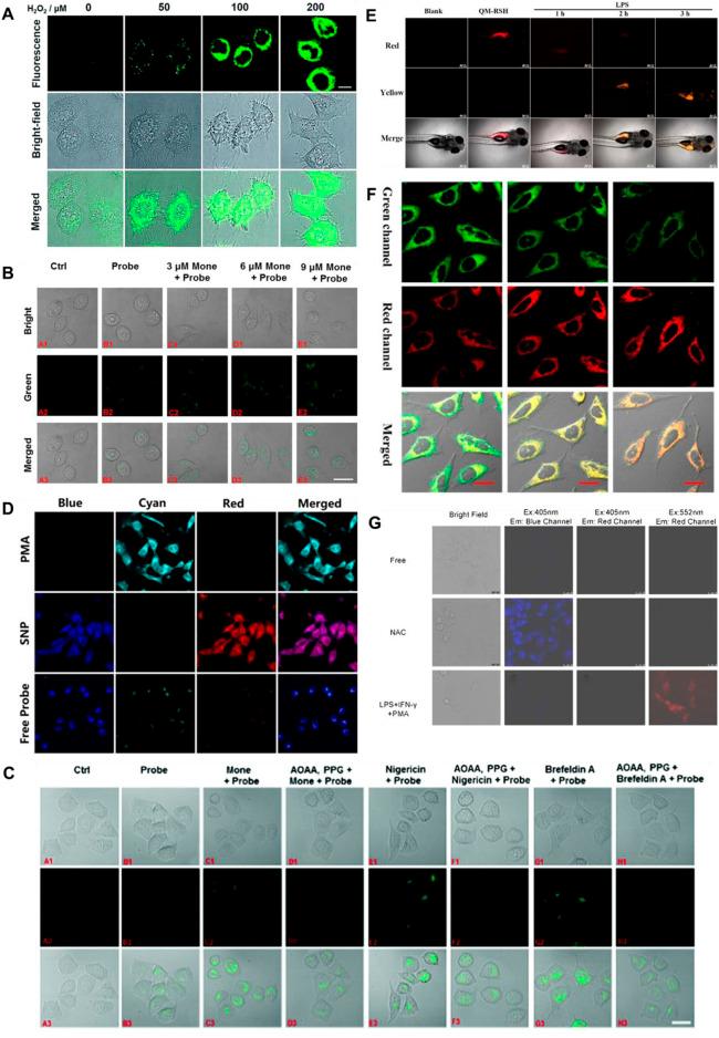 https://cdn.ncbi.nlm.nih.gov/pmc/blobs/498e/9911449/6a1e04641194/fchem-11-1126309-g008.jpg