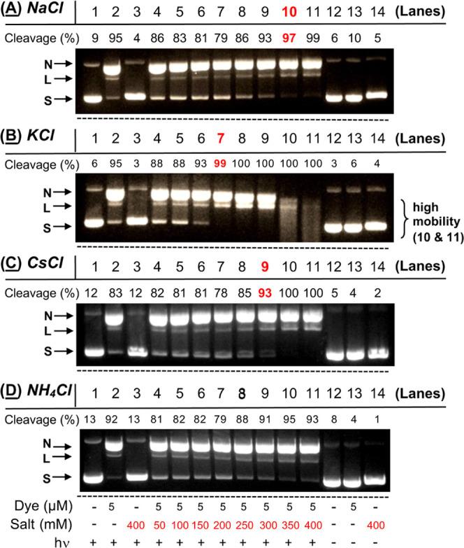 https://cdn.ncbi.nlm.nih.gov/pmc/blobs/498f/10354805/7fe1f2b5257a/tx2c00235_0014.jpg