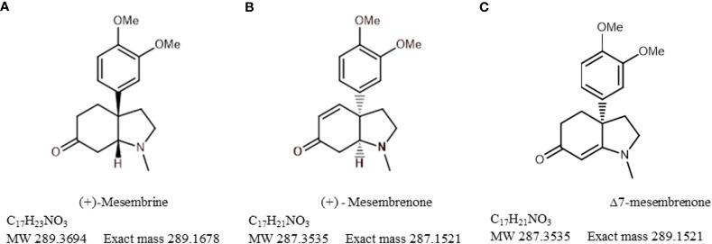 https://cdn.ncbi.nlm.nih.gov/pmc/blobs/498f/10991851/dad2ff1657ab/fpls-15-1268101-g002.jpg