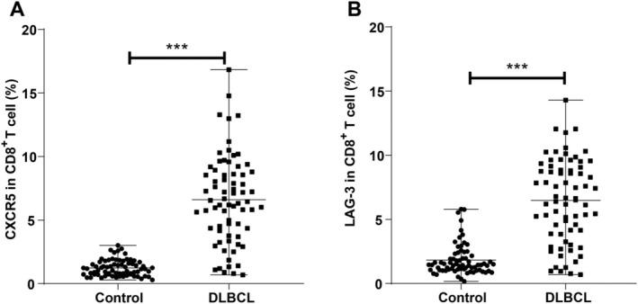 https://cdn.ncbi.nlm.nih.gov/pmc/blobs/4993/12087394/9ac04d86535f/KJM2-41-e70005-g002.jpg