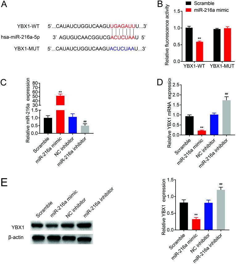 https://cdn.ncbi.nlm.nih.gov/pmc/blobs/4993/8880984/df2438aa8325/bmj-38-3-171_f004.jpg