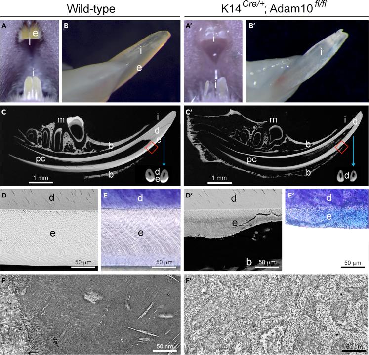 https://cdn.ncbi.nlm.nih.gov/pmc/blobs/4995/9526176/3dd986e0356a/gr1.jpg