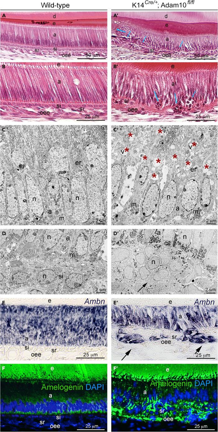 https://cdn.ncbi.nlm.nih.gov/pmc/blobs/4995/9526176/cb83c2a72b71/gr2.jpg