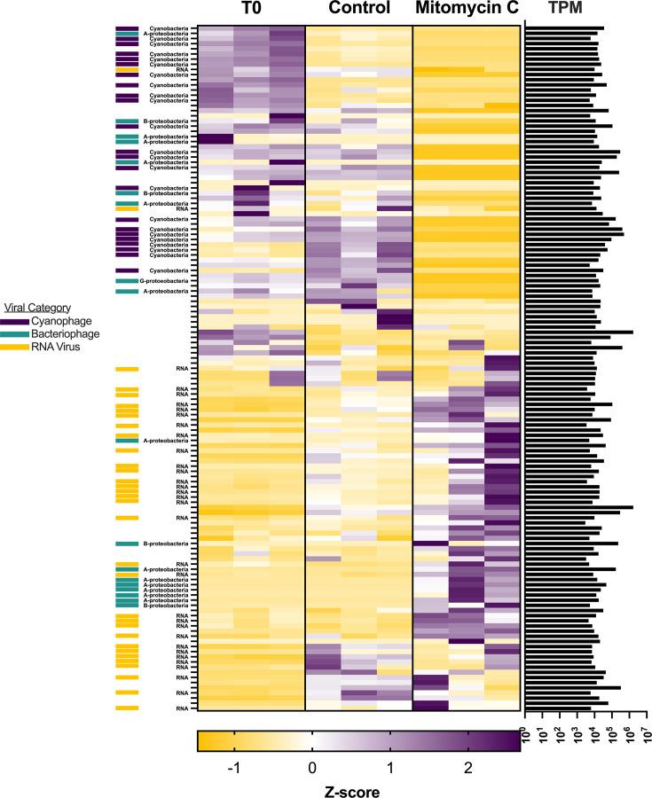 https://cdn.ncbi.nlm.nih.gov/pmc/blobs/4997/12054034/43e3e72c5a35/spectrum.02872-24.f005.jpg
