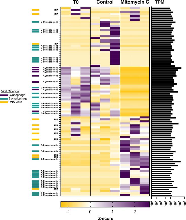 https://cdn.ncbi.nlm.nih.gov/pmc/blobs/4997/12054034/706e2e825727/spectrum.02872-24.f006.jpg
