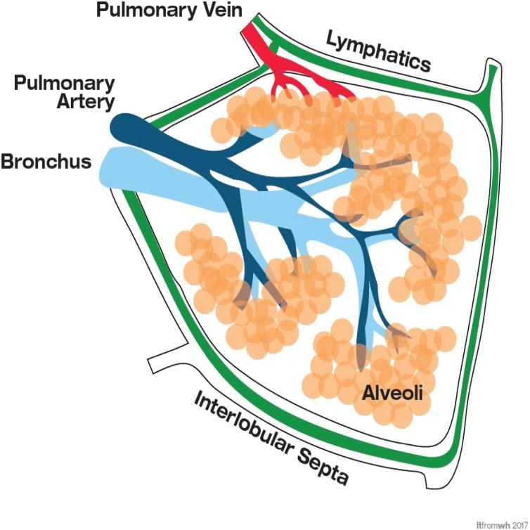 https://cdn.ncbi.nlm.nih.gov/pmc/blobs/499b/7607415/5bdba35880f7/gr2.jpg