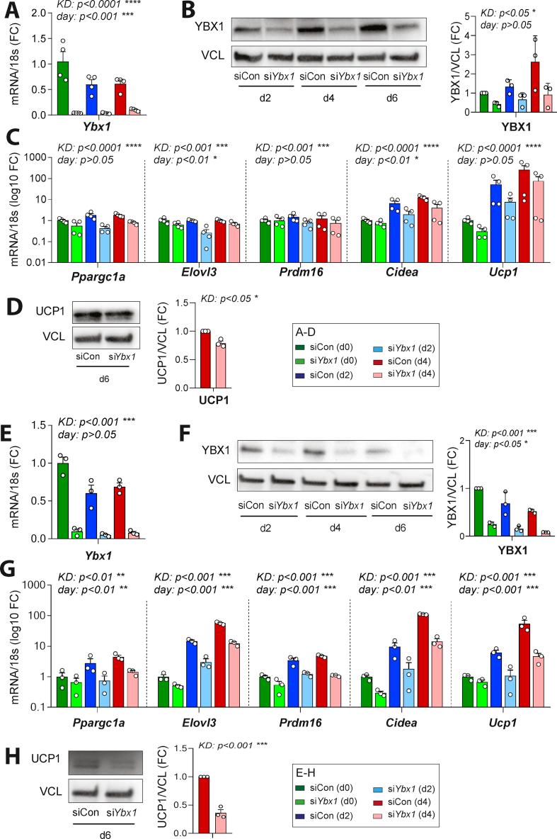 https://cdn.ncbi.nlm.nih.gov/pmc/blobs/499b/7779825/f46a741d6ebe/gr3.jpg