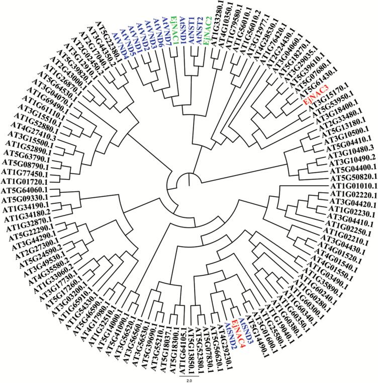 https://cdn.ncbi.nlm.nih.gov/pmc/blobs/499c/5853329/19b0c1ac8773/erx33001.jpg