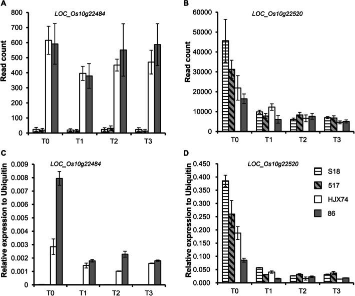 https://cdn.ncbi.nlm.nih.gov/pmc/blobs/499c/7573065/283d46a7ba80/12284_2020_434_Fig6_HTML.jpg