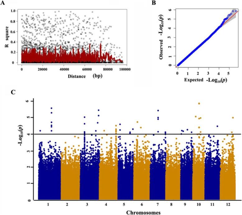 https://cdn.ncbi.nlm.nih.gov/pmc/blobs/499c/7573065/2afd50bdc5b1/12284_2020_434_Fig2_HTML.jpg