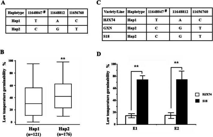 https://cdn.ncbi.nlm.nih.gov/pmc/blobs/499c/7573065/572b4de69322/12284_2020_434_Fig4_HTML.jpg