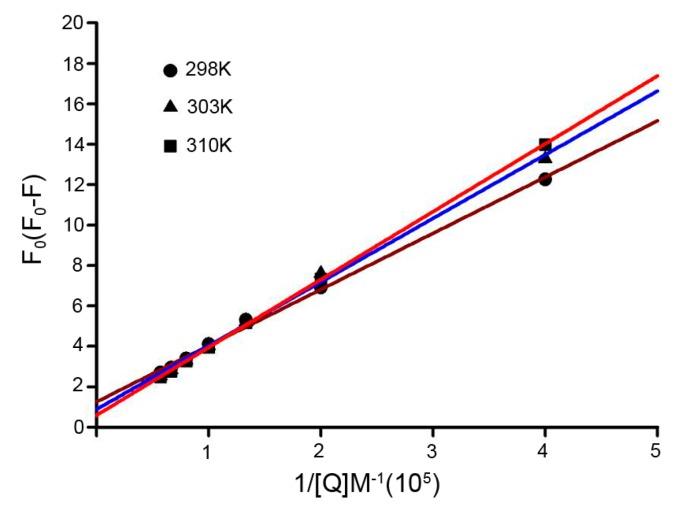 https://cdn.ncbi.nlm.nih.gov/pmc/blobs/499e/4964418/ca6f6dddad72/ijms-17-01042-g004.jpg