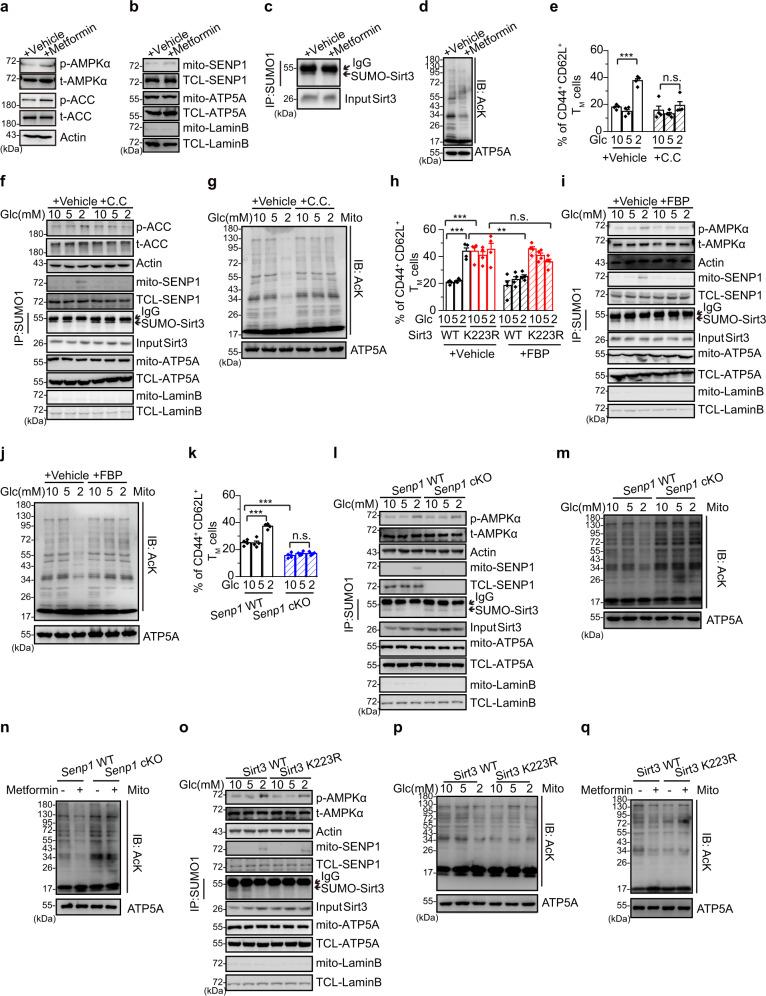 https://cdn.ncbi.nlm.nih.gov/pmc/blobs/49a0/8285428/1ac5d6c5dc60/41467_2021_24619_Fig2_HTML.jpg