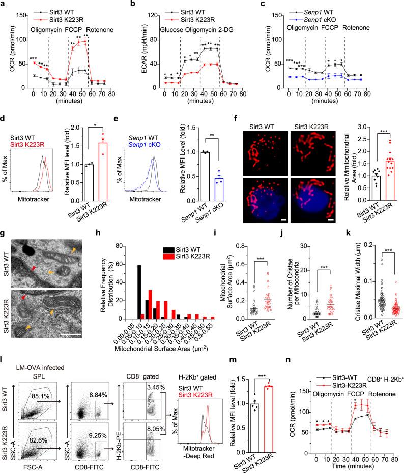 https://cdn.ncbi.nlm.nih.gov/pmc/blobs/49a0/8285428/66a6adf95e58/41467_2021_24619_Fig4_HTML.jpg