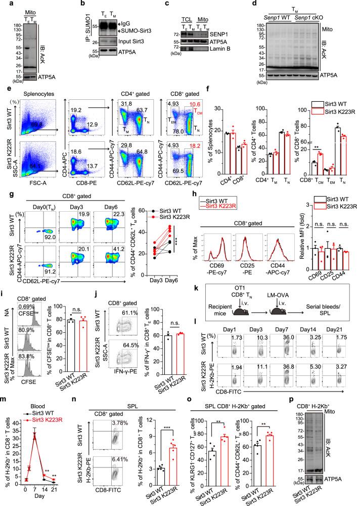 https://cdn.ncbi.nlm.nih.gov/pmc/blobs/49a0/8285428/8d30103d6c5e/41467_2021_24619_Fig1_HTML.jpg