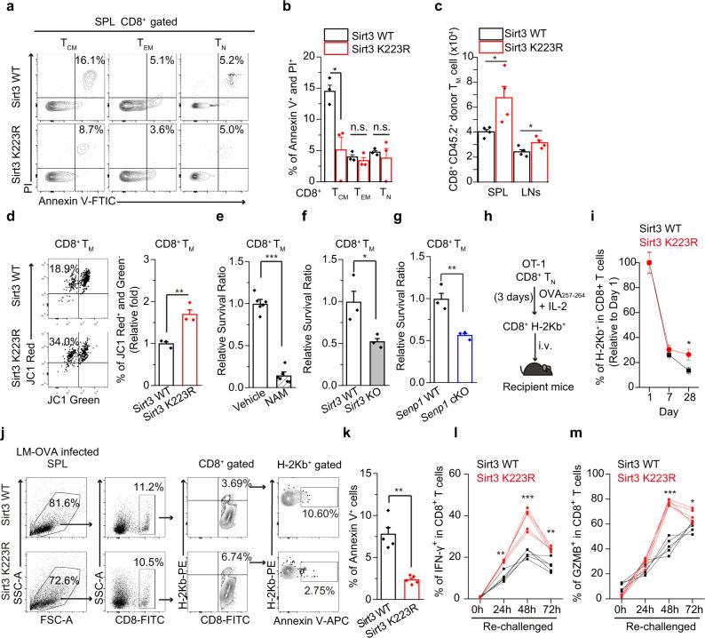 https://cdn.ncbi.nlm.nih.gov/pmc/blobs/49a0/8285428/f4f69b79e22e/41467_2021_24619_Fig3_HTML.jpg