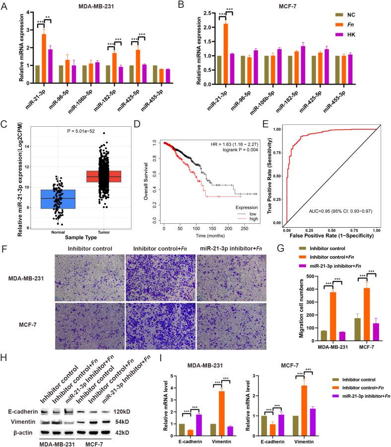 https://cdn.ncbi.nlm.nih.gov/pmc/blobs/49a1/12206713/284bac0e2801/fonc-15-1530269-g002.jpg