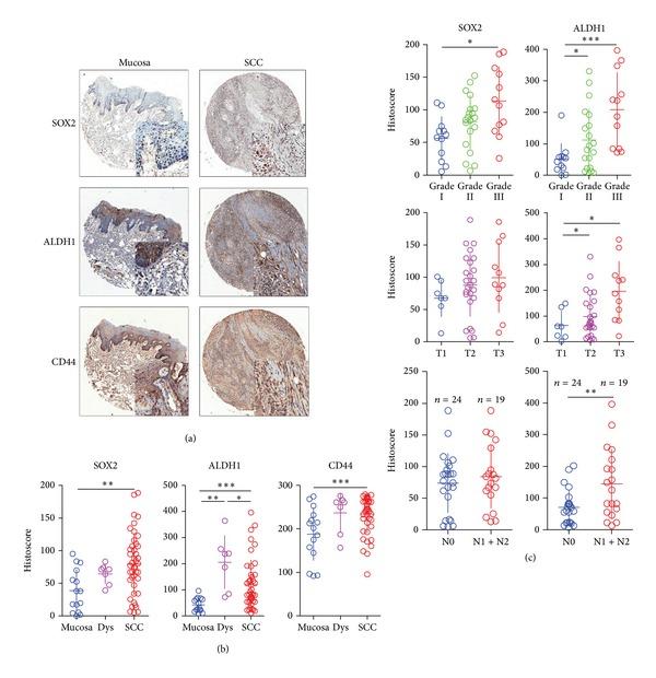 https://cdn.ncbi.nlm.nih.gov/pmc/blobs/49a1/4032721/012dfe6a6432/BMRI2014-838632.002.jpg