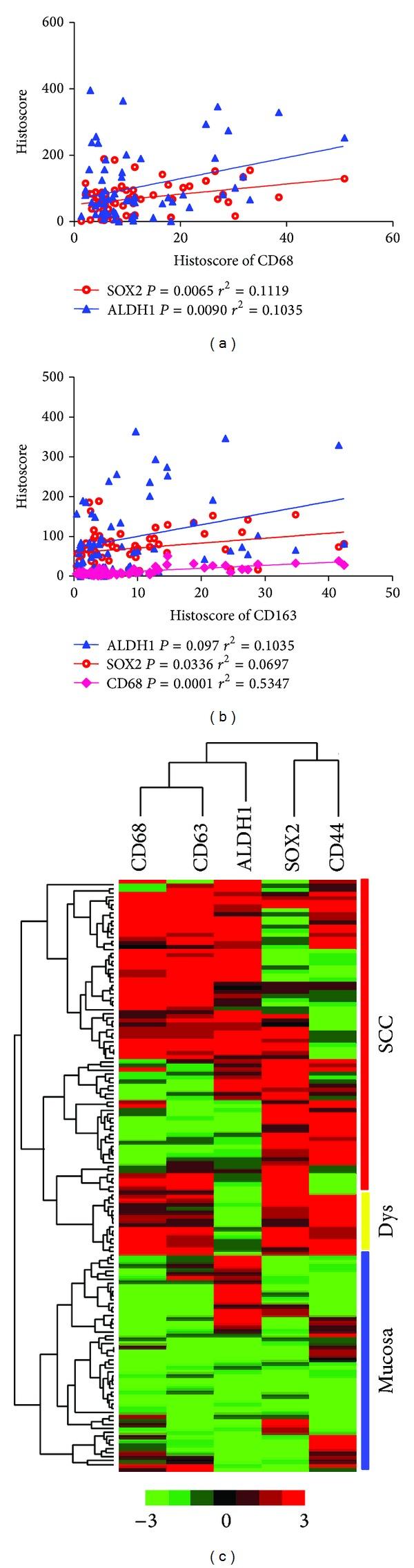 https://cdn.ncbi.nlm.nih.gov/pmc/blobs/49a1/4032721/64fc0d15ffaa/BMRI2014-838632.003.jpg