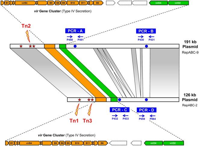 https://cdn.ncbi.nlm.nih.gov/pmc/blobs/49a1/4886583/32e3066d3908/fmicb-07-00742-g001.jpg