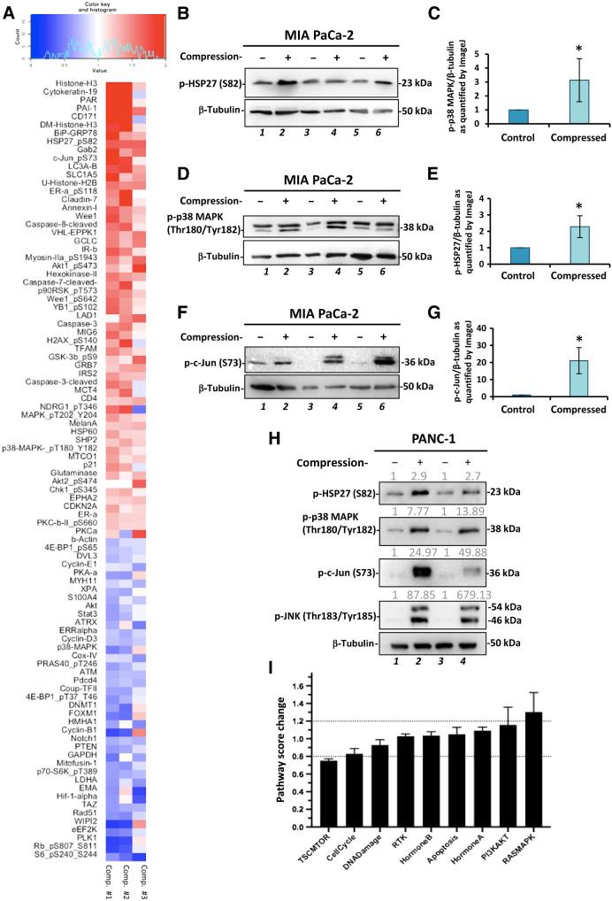 https://cdn.ncbi.nlm.nih.gov/pmc/blobs/49a1/9381108/a27cd64b1c76/485fig1.jpg