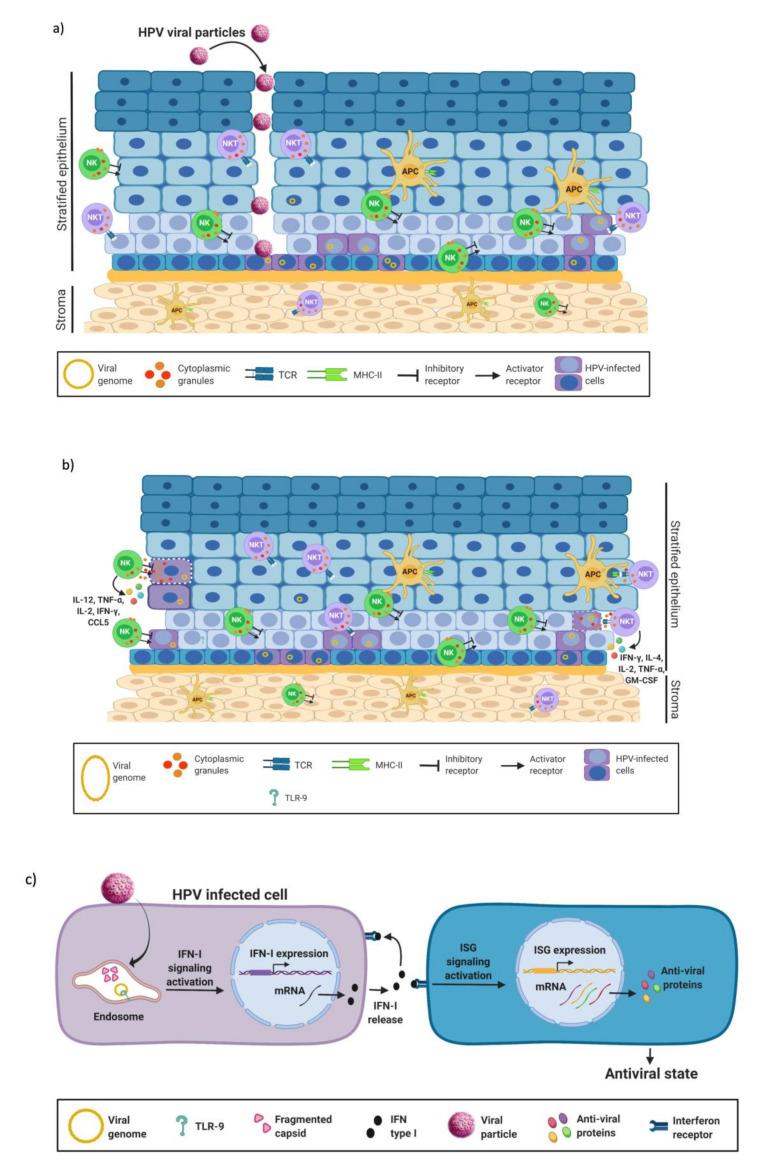 https://cdn.ncbi.nlm.nih.gov/pmc/blobs/49a2/9687819/cd0d0483e5d4/biomedicines-10-02965-g001.jpg