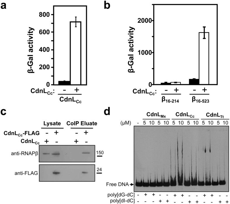 https://cdn.ncbi.nlm.nih.gov/pmc/blobs/49a3/5324124/40897488ecb4/srep43240-f3.jpg