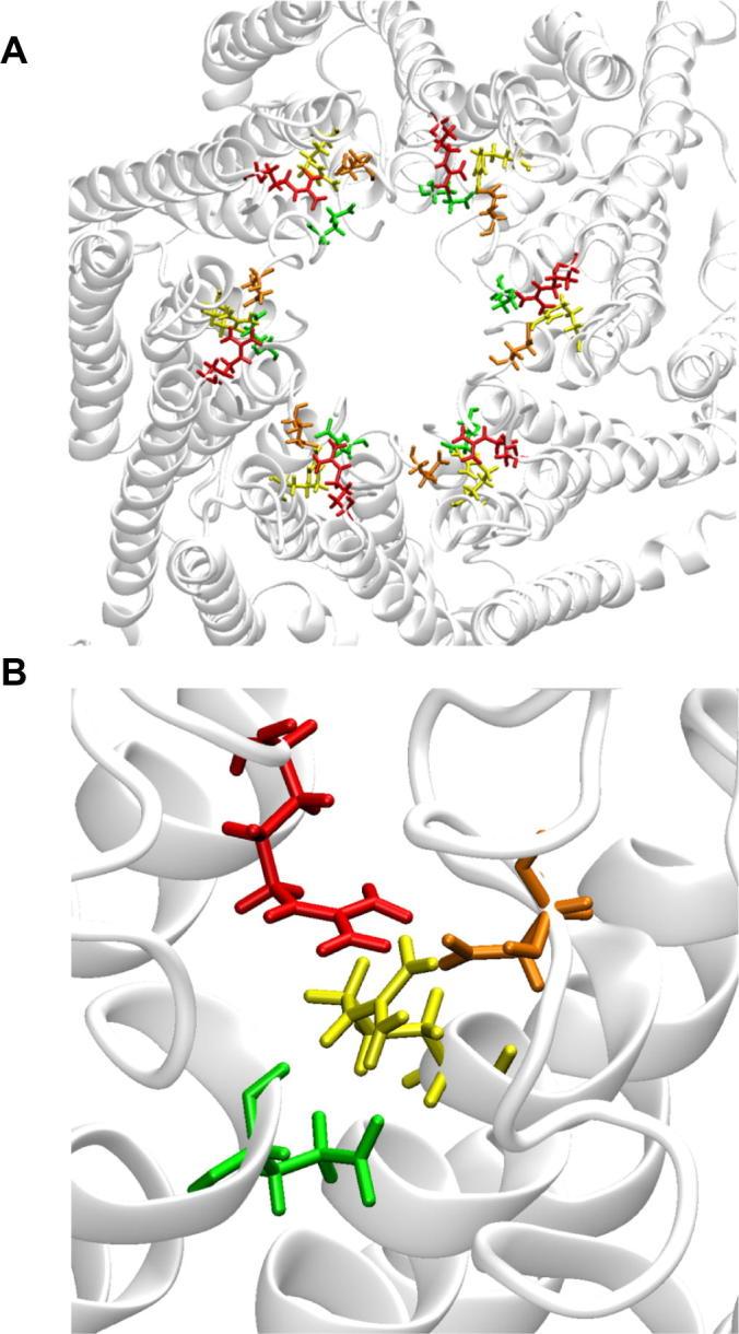 https://cdn.ncbi.nlm.nih.gov/pmc/blobs/49a5/3969289/6bf6fe16ef60/gr1.jpg