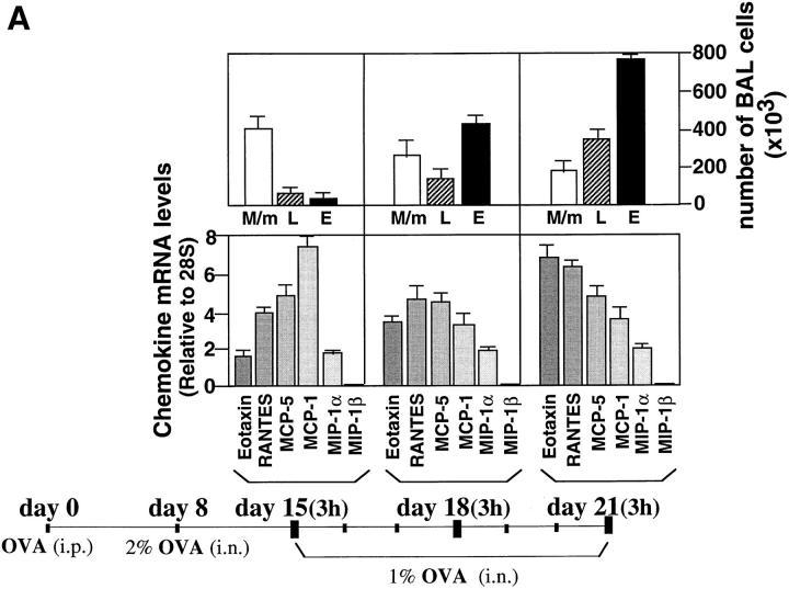 https://cdn.ncbi.nlm.nih.gov/pmc/blobs/49a6/2525544/a48ff8bc3c79/JEM972185.f1a.jpg