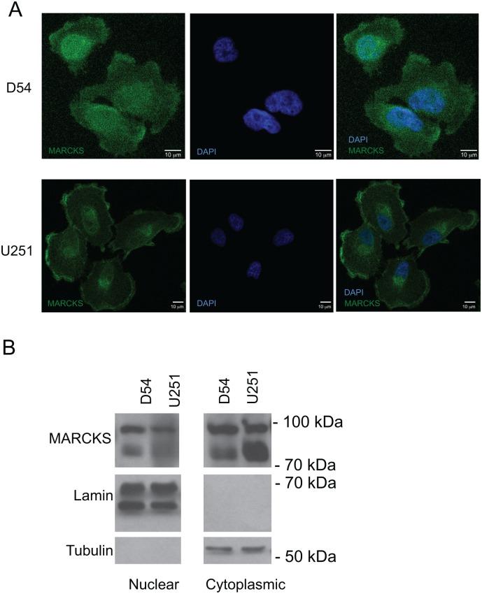 https://cdn.ncbi.nlm.nih.gov/pmc/blobs/49a6/4607481/1b305c44b16d/pone.0140870.g001.jpg