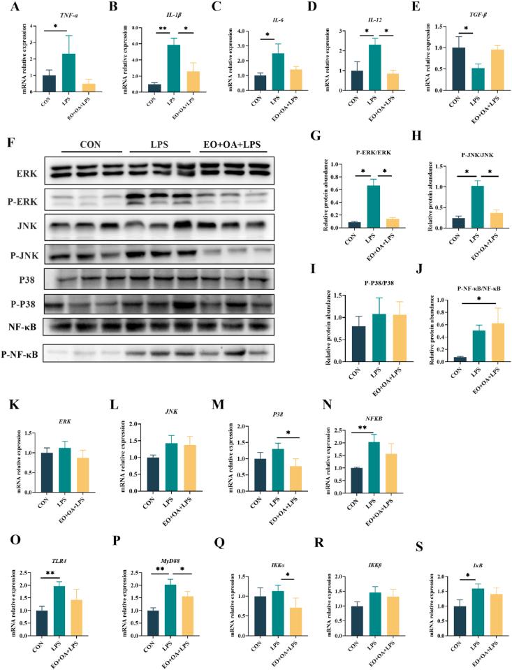 https://cdn.ncbi.nlm.nih.gov/pmc/blobs/49a8/11415868/6e4fa2f151f5/gr5.jpg