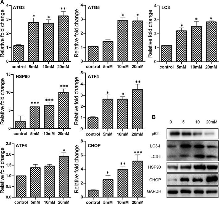 https://cdn.ncbi.nlm.nih.gov/pmc/blobs/49a8/8335702/022052d19dee/JCMM-25-7135-g005.jpg