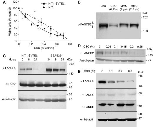 https://cdn.ncbi.nlm.nih.gov/pmc/blobs/49aa/2391131/0fa218974448/6604362f1.jpg