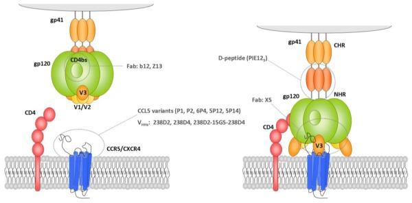 https://cdn.ncbi.nlm.nih.gov/pmc/blobs/49aa/3344243/a85d34faf5a6/ijms-13-04727f5.jpg
