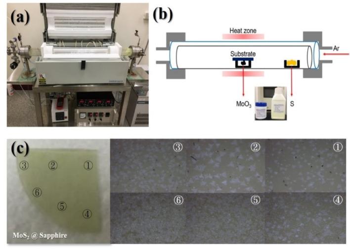 https://cdn.ncbi.nlm.nih.gov/pmc/blobs/49ad/12328885/7ed0e2834408/11671_2025_4321_Fig1_HTML.jpg