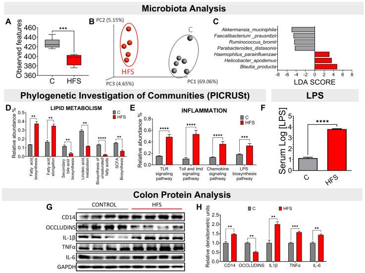 https://cdn.ncbi.nlm.nih.gov/pmc/blobs/49ae/11357552/4de2c2d080d8/nutrients-16-02594-g002.jpg