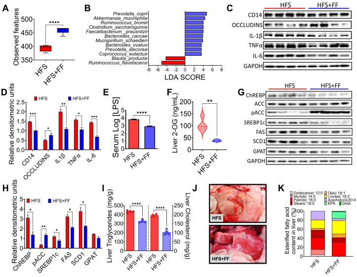 https://cdn.ncbi.nlm.nih.gov/pmc/blobs/49ae/11357552/7d0b5e486356/nutrients-16-02594-g006.jpg