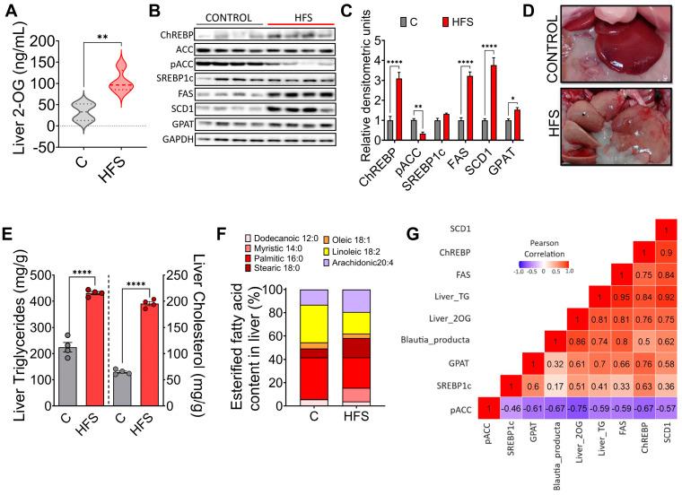 https://cdn.ncbi.nlm.nih.gov/pmc/blobs/49ae/11357552/a81edca6e216/nutrients-16-02594-g004.jpg