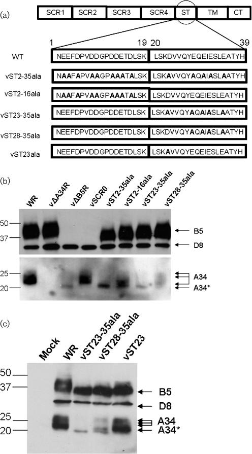 https://cdn.ncbi.nlm.nih.gov/pmc/blobs/49b3/3052527/e45fc2cb5562/1823fig1.jpg