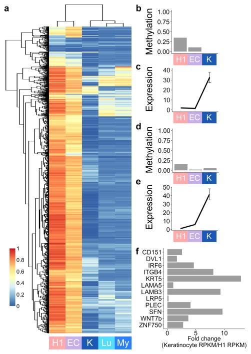 https://cdn.ncbi.nlm.nih.gov/pmc/blobs/49b6/4385735/dec8d596cdc5/nihms632813f7.jpg