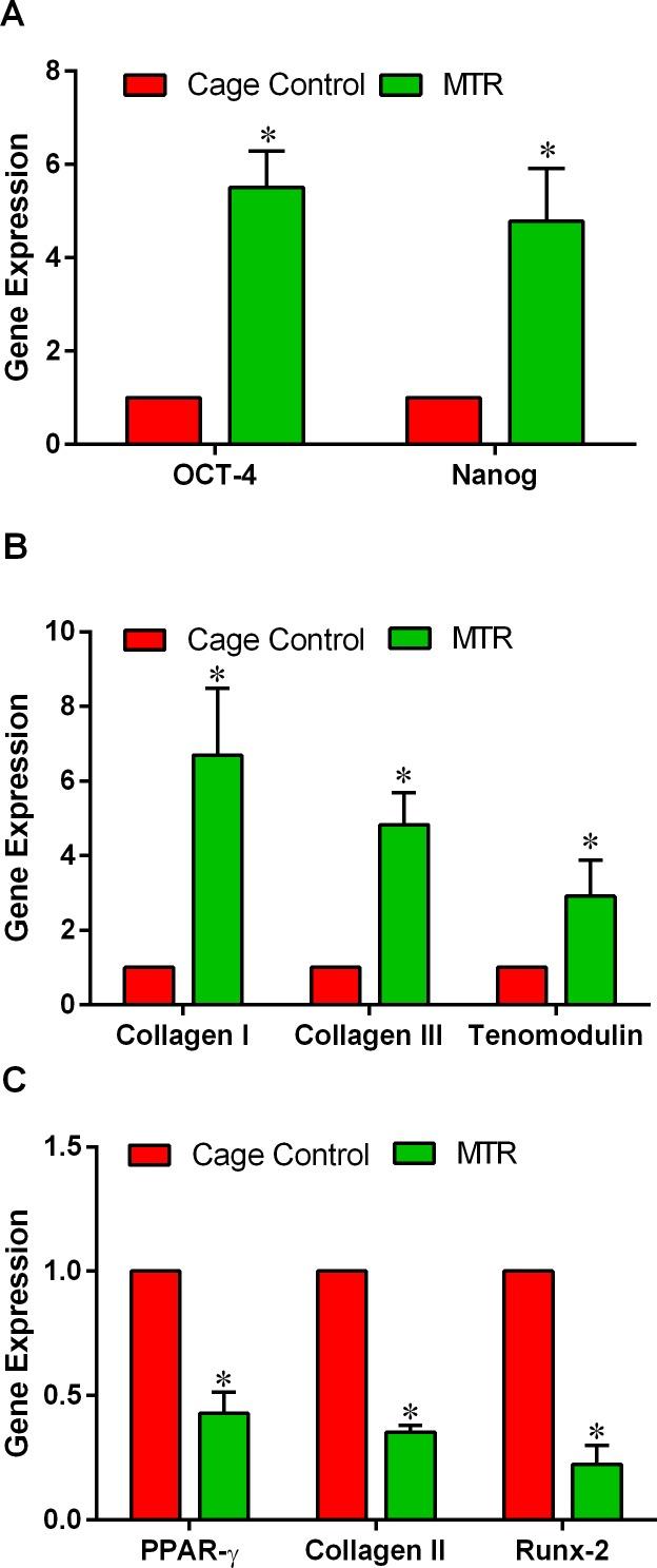https://cdn.ncbi.nlm.nih.gov/pmc/blobs/49b7/4890982/c27864976a5c/oncotarget-07-8498-g009.jpg