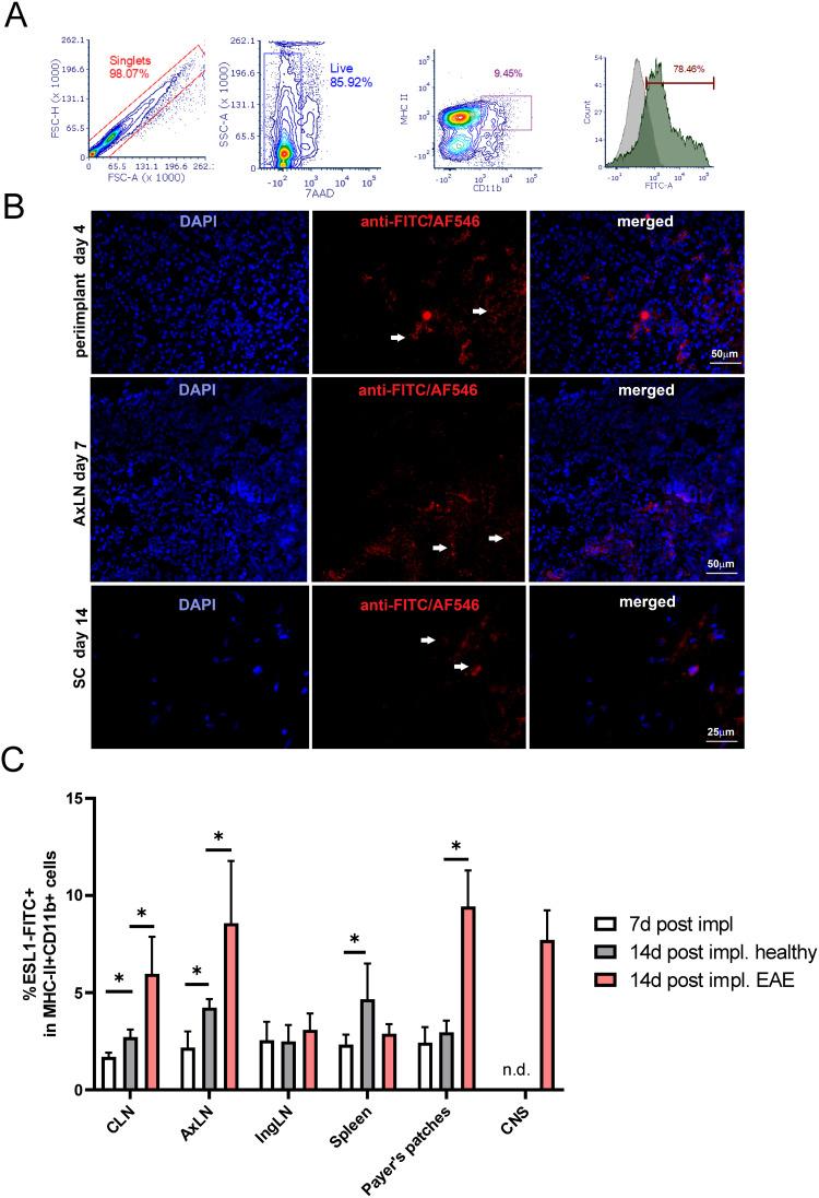 https://cdn.ncbi.nlm.nih.gov/pmc/blobs/49b9/11830953/1da78847bef9/IJN-20-1921-g0005.jpg
