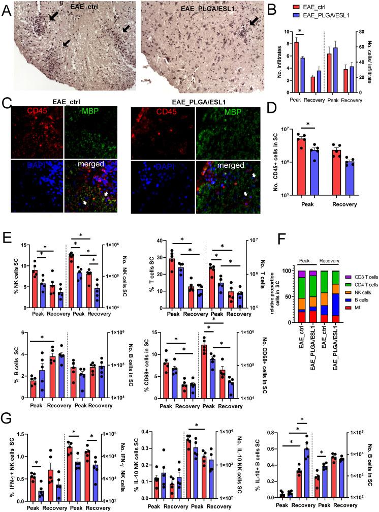 https://cdn.ncbi.nlm.nih.gov/pmc/blobs/49b9/11830953/d571b5af21db/IJN-20-1921-g0007.jpg